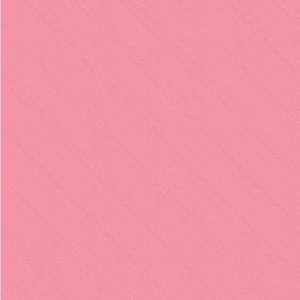 Meet your Posher, Ryahna